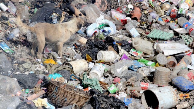 In Guatemala, the Motagua river basin drains through 13 different departments, and is inhabited by 5.1 million people, of which 69.26% reside in urban areas, and the rest (30.74%) in rural areas. . All these people are distributed in 80 different municipalities, including Guatemala City, the most populous city in all of Central America. Photo: Carlos Duarte