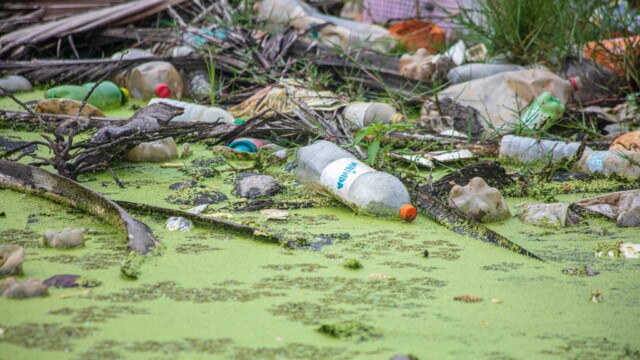 The more than 50 kilometers of beaches full of garbage in Honduras show that more comprehensive measures are necessary to begin to reverse this situation. Because in addition to the issue of solid waste, there is also the issue of water quality, contaminated by wastewater, and which has, if possible, a greater environmental, economic and social impact. Photo: Carlos Palma