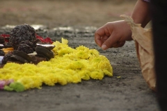 16807585_1313546298713127_2315873701918192666_n