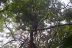 Foto: Manuel García/Viatori