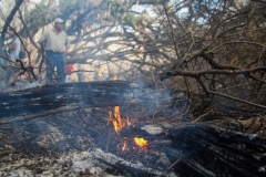 incendios-18