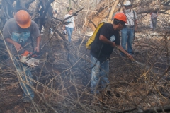 incendios-20