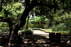 Jardín botánico. Ciudad de Guatemala. Foto: Jorge Rodríguez/Viatori