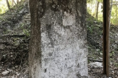 IMG_6927-e1520028274449-768x1024