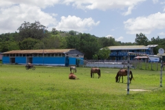 Uniendo-Rutas-Mayas-12