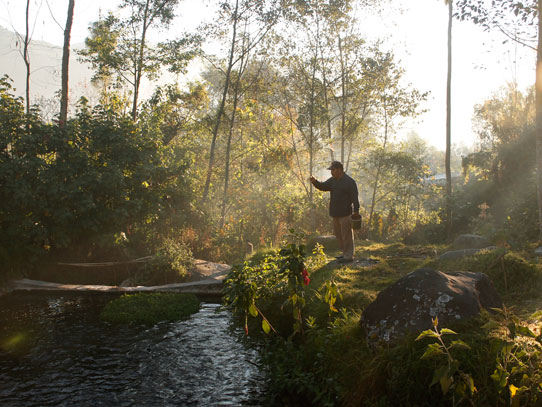 Los recursos naturales y su conservación ahora son fuente de desarrollo. Foto: Jorge Rodríguez/Viatori
