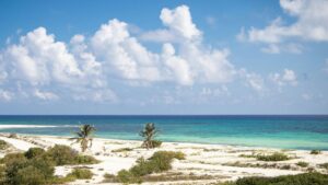 Greenpeace alerta sobre impactos “irreversibles” de megaproyecto turístico en Cozumel