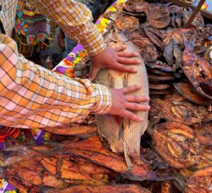 Conap intensifica operativos contra venta ilegal de fauna en mercados temporales por la Cuaresma