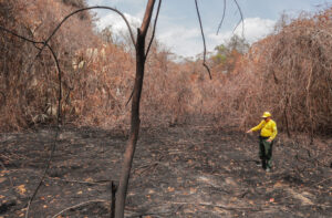 Cambio climático duplica días de calor extremo en 195 países. Guatemala con los registros más altos de Centroamérica