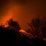 Los incendios forestales: la mayor amenaza para los bosques tropicales