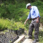 Más de Q365 millones en incentivos forestales llegan a comunidades rurales de Guatemala