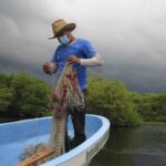La ratificación de acuerdos regionales: nuevas oportunidades para la conservación de la biodiversidad