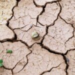 El cambio climático duplicó la frecuencia de eventos extremos de calor y sequía, según estudio
