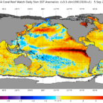 El Niño se intensifica en el Pacífico y puede agravar la sequía en Centroamérica