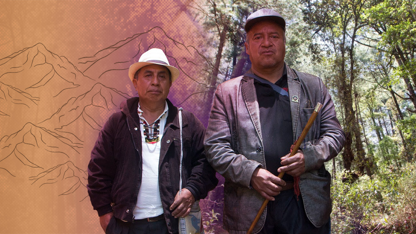 La protección de los bosques desde la ancestralidad Maya