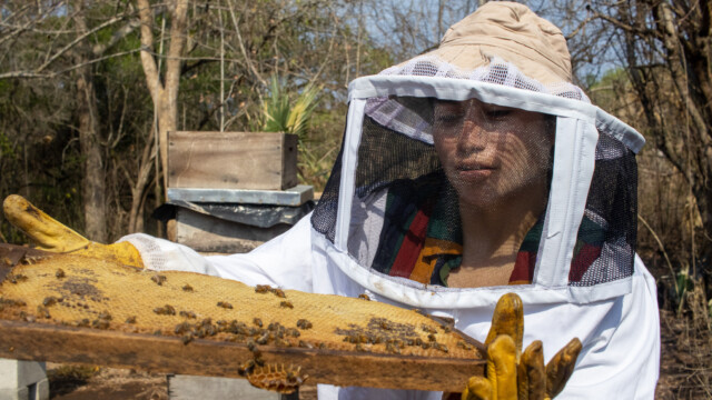 El turismo forma parte de la estrategia que el grupo Las Mañanitas diseñó para que la protección del bosque les genere ingresos. Foto: Jorge Rodríguez/Viatori.
